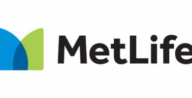 MetLife – Telefono 01800 y Sucursales en Mexico 79 metilfe en mexico